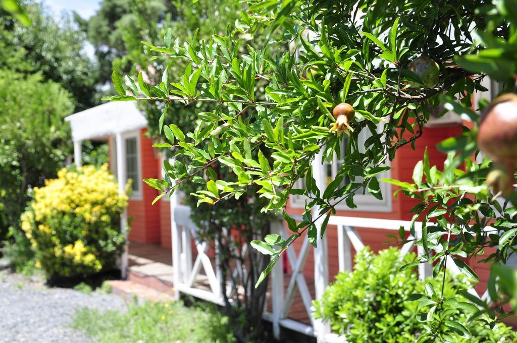 Hotel Aromos 4*